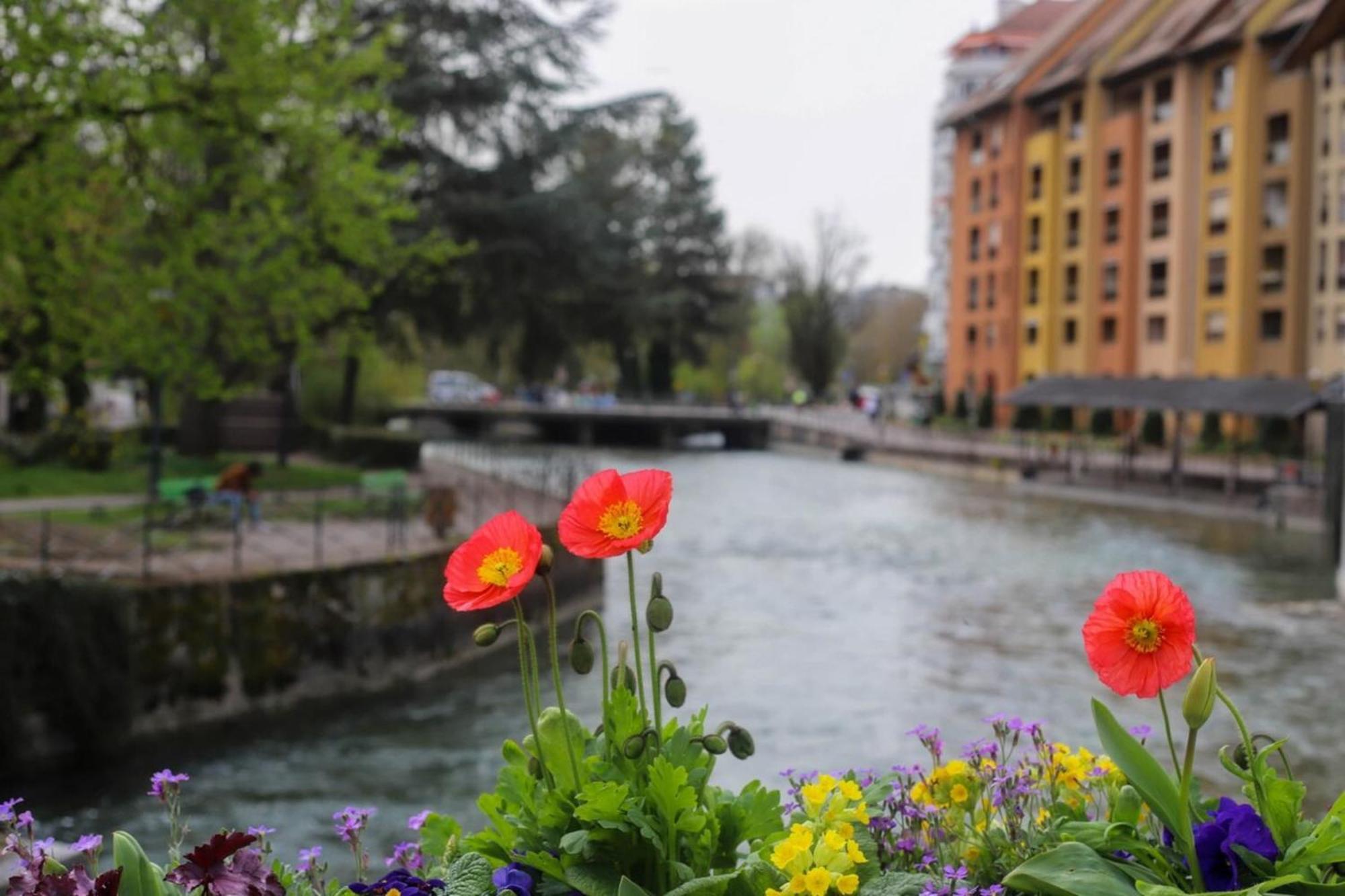 Le Coeur De Ville Splendide T2 Plein Centre Annecy Dış mekan fotoğraf